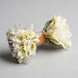 Eden Edition - Exclusive Hand-Crafted Botanical Bow Tie