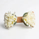 Eden Edition - Exclusive Hand-Crafted Botanical Bow Tie