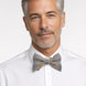 Aurelian Prestige - Silver Gold Metallic Bow Tie