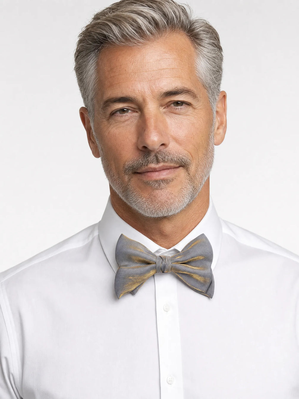 Aurelian Prestige - Silver & Gold Metallic Bow Tie