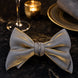 Aurelian Prestige - Silver Gold Metallic Bow Tie
