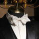 Noctis Prestige - Gilded Metallic Silk Bow Tie