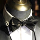 Noctis Prestige - Gilded Metallic Silk Bow Tie
