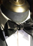 Noctis Prestige - Gilded Metallic Silk Bow Tie